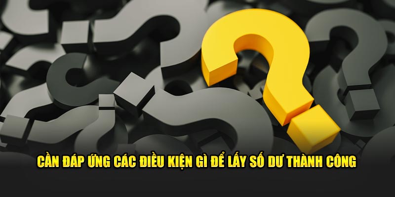 Cần đáp ứng các điều kiện gì để lấy số dư thành công